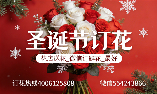 ���ݷ�خ������