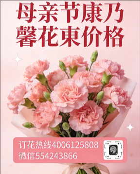 广州番禺区花店母亲节康乃馨花束